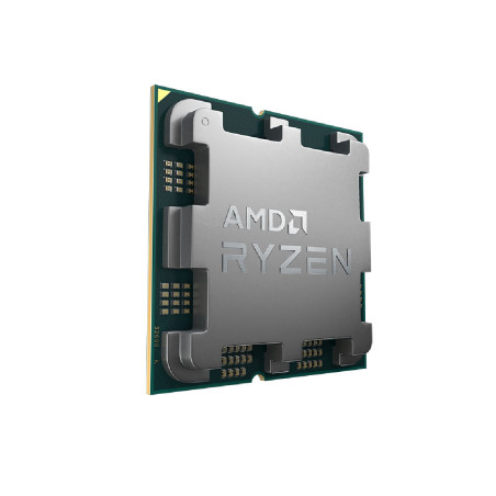 Procesador Amd Ryzen 7 7700 Am5 Oem (sin Caja)